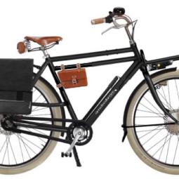 Vélo électrique Amsterdamer Double Dutch
