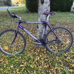 Longway (vélo Auchan)