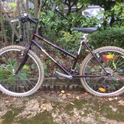 VTT Femme Free Spirit 